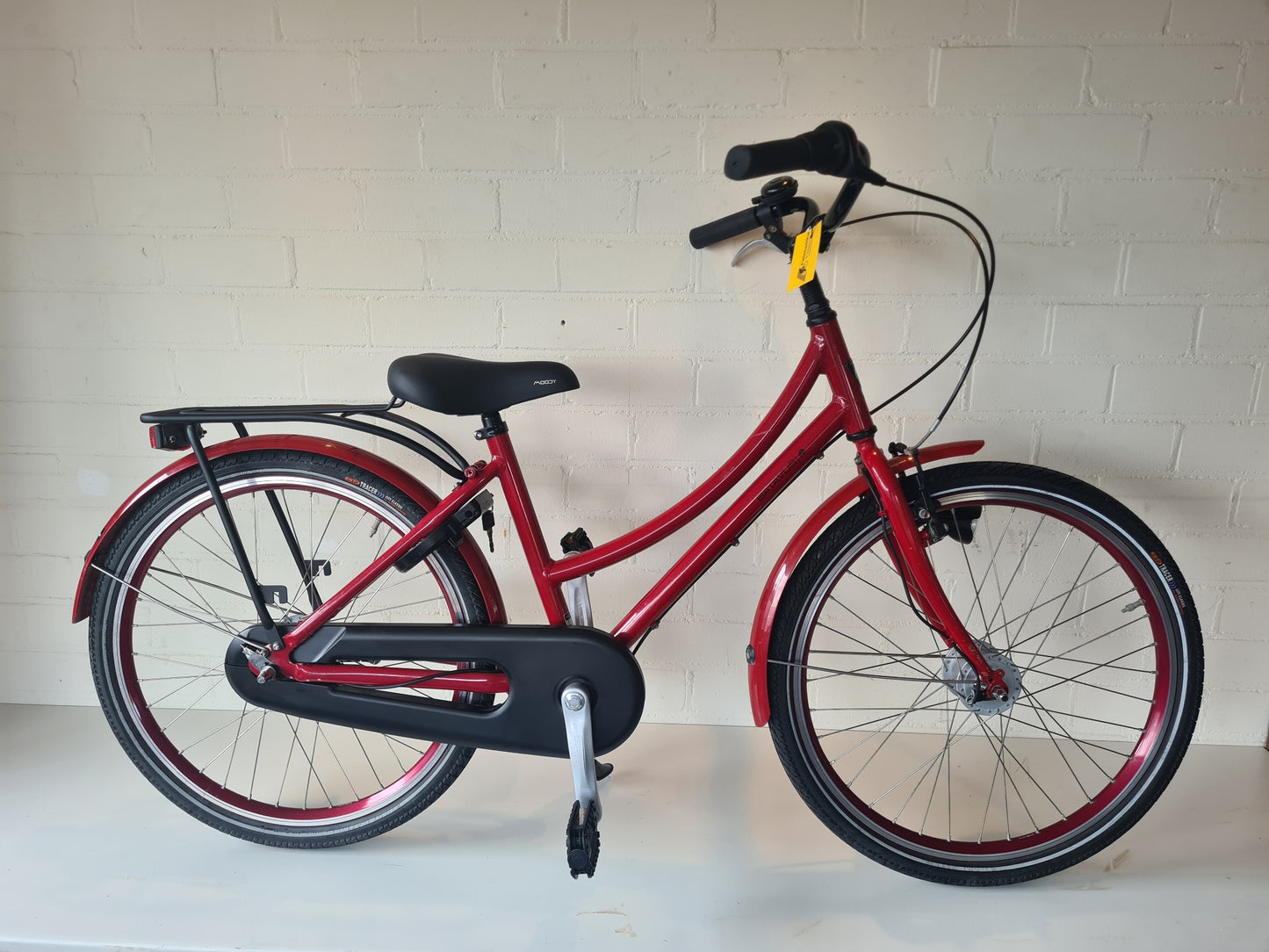 Batavus Bronx 24″
