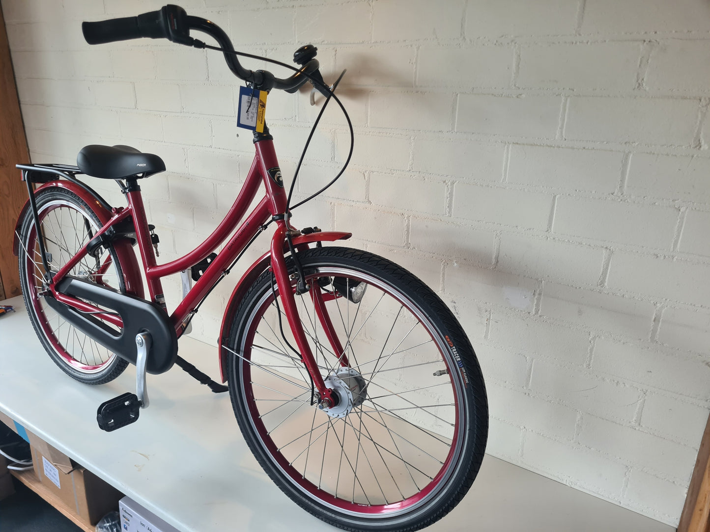 Batavus Bronx 24″