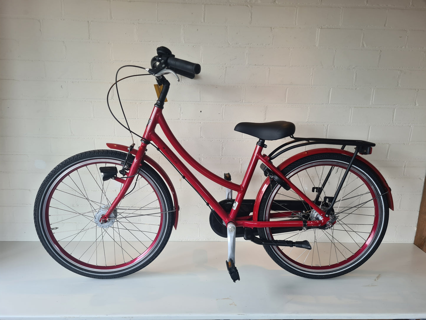 Batavus Bronx 24″