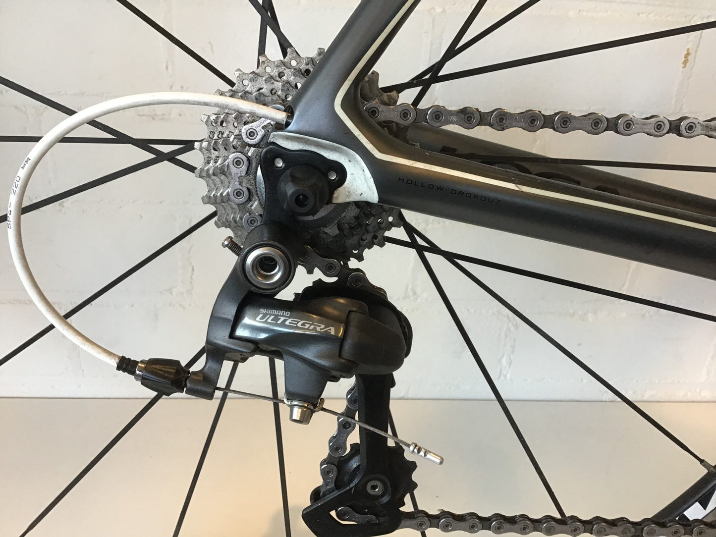 Koga Solacio Ultegra 28″